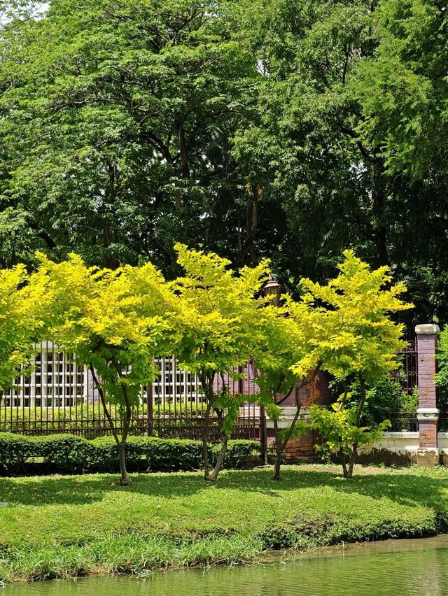 Lumphini Park, Bangkok. 