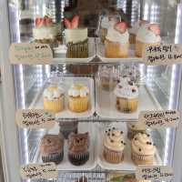 컵케이크가 맛있는 디저트 카페 티크 커피🧁