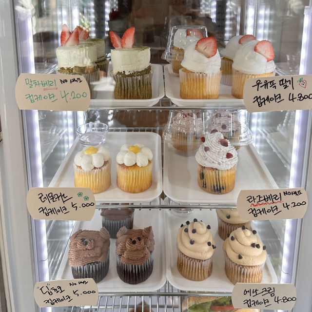 컵케이크가 맛있는 디저트 카페 티크 커피🧁