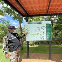 🏞️ ผาช่อ – อุทยานแห่งชาติแห่งเชียงใหม่