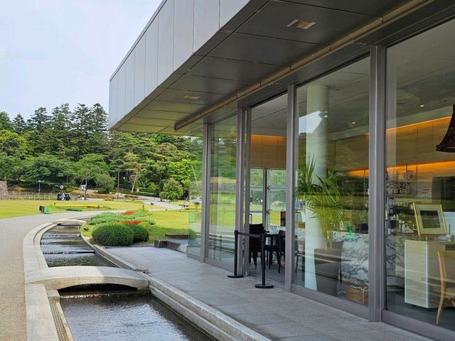 金澤漫步〔しいのき緑地せせらぎ〕光合作用散策 ☀️