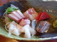 🚢 魚の駅生地 できたて館 航海灯 – Fresh Seafood Right by the Port