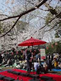 東京 上野恩賜公園 🌳🌸