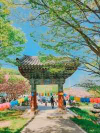 Flower Park at Munsu Temple