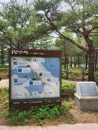🚴‍♂️강원도 고성여행, 자연 속 자전거 한 바퀴 "송지호 둘레길 자전거대여소"🚴‍♀️
