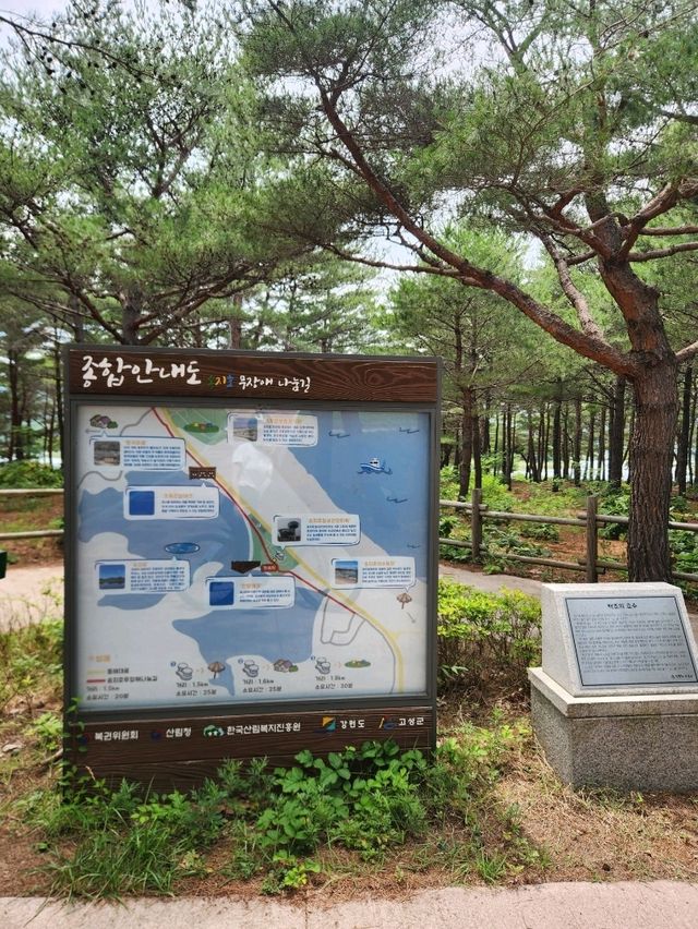 🚴‍♂️강원도 고성여행, 자연 속 자전거 한 바퀴 "송지호 둘레길 자전거대여소"🚴‍♀️