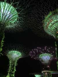 แชร์ประสบการณ์เที่ยว Gardens by the Bay @สิงคโปร์