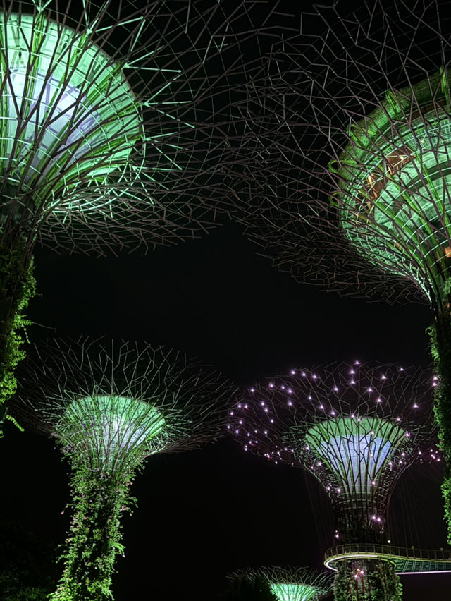 แชร์ประสบการณ์เที่ยว Gardens by the Bay @สิงคโปร์