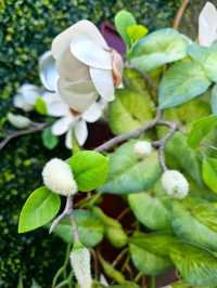 Elegance in Bloom in WF Central Gardens