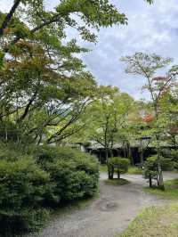 🌿由布院 + 太宰府一日浪漫遊｜夢幻金鱗湖＋文化滿載太宰府天滿宮✨