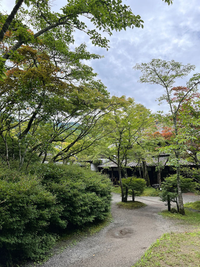 🌿由布院 + 太宰府一日浪漫遊｜夢幻金鱗湖＋文化滿載太宰府天滿宮✨