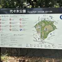 【東京/代々木🇯🇵】都会でリラックスするなら😌代々木公園