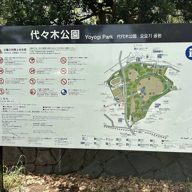 【東京/代々木🇯🇵】都会でリラックスするなら😌代々木公園