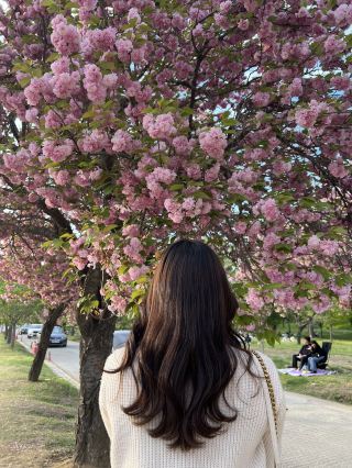 Review of Misa Gyeongjang Park