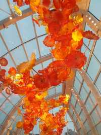 Admire beautiful glasswork art in Seattle