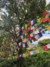 Monkey Temple, The Giant Dome famous stupa in Kathmandu