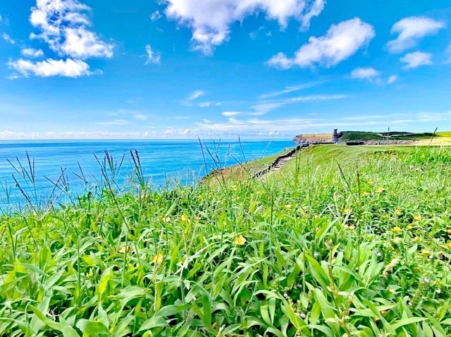 雙心石滬