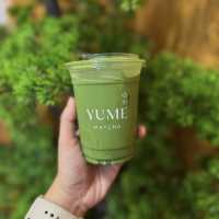 YUME Matcha ゆめ 