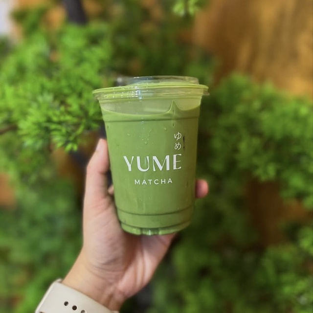 YUME Matcha ゆめ 