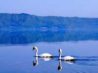 🌅 Lakeside Bliss at Toya Sun Palace: Onsen Dreams and Mountain Views
