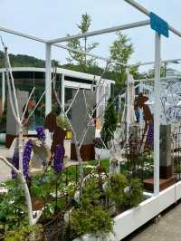 Boramae Park, Seoul – A Peaceful Urban Green Space