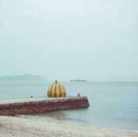 เที่ยวเกาะศิลปะ Naoshima & Teshima ผ่านกล้องฟิล์ม