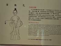 翻閱古籍，窺見身體奧秘──故宮〔身體展演〕醫書特展