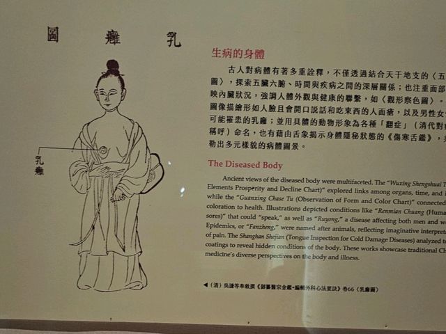 翻閱古籍，窺見身體奧秘──故宮〔身體展演〕醫書特展