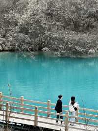 Jiuzhaigou for the first time. 🩵