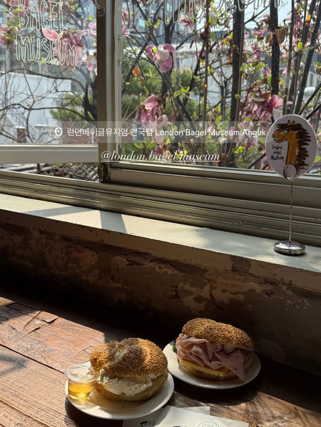 🌸春だけの絶景！桜とカフェで楽しむソウル旅🌸 