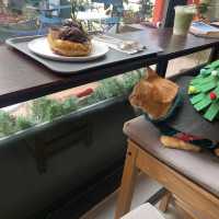 Mistletoe Flour Thyme – Pattaya