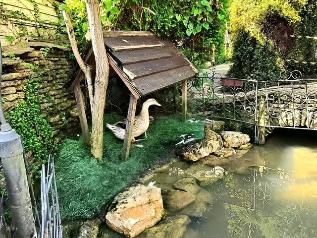 A Ghibli-Like Escape at Yufuin Floral Village