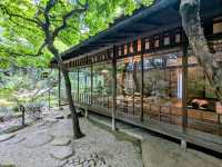 名古屋 | 為三郎紀念館，優雅細膩的數寄屋造建築