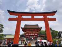 Japan Trip: Fushimi Inari, Uji & a Detour for Lucky Cats! 🇯🇵🐱
