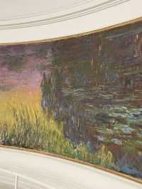 🎨 巴黎橘園美術館 Musée de l'Orangerie：讓睡蓮擁抱你
