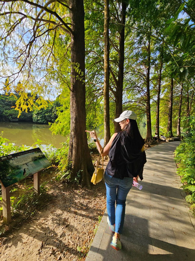 深圳l 沒想到這個仙湖植物園🌳那麼大