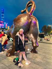 🇨🇳The Bund night…🌈