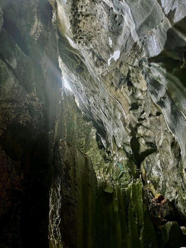 Nature’s Gothic Vibes