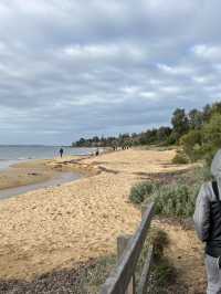 7D6N Melbourne & Beyond Adventure!