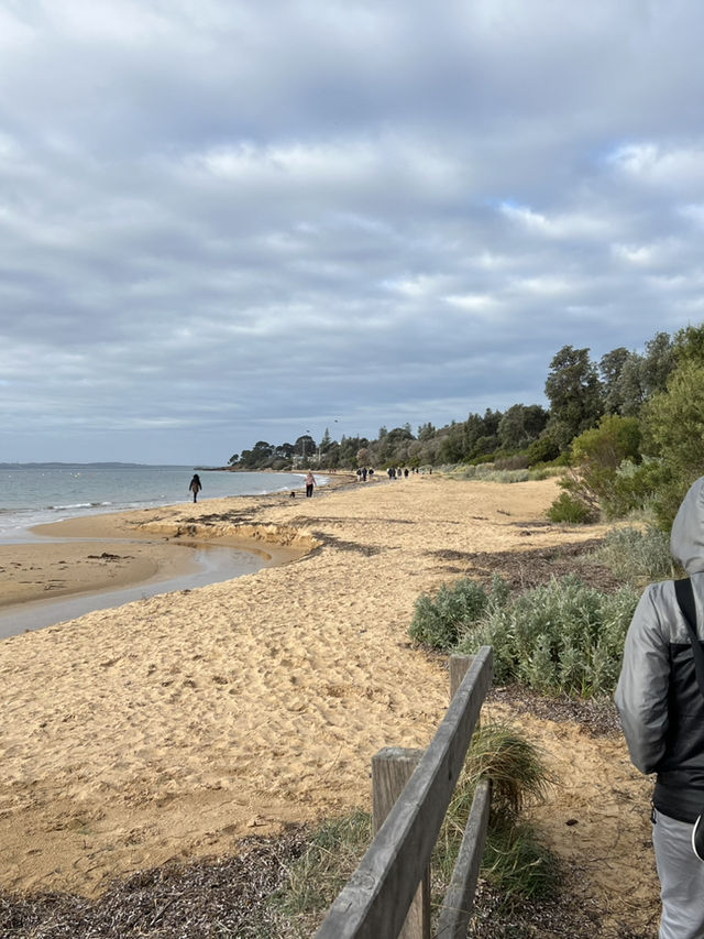 7D6N Melbourne & Beyond Adventure!