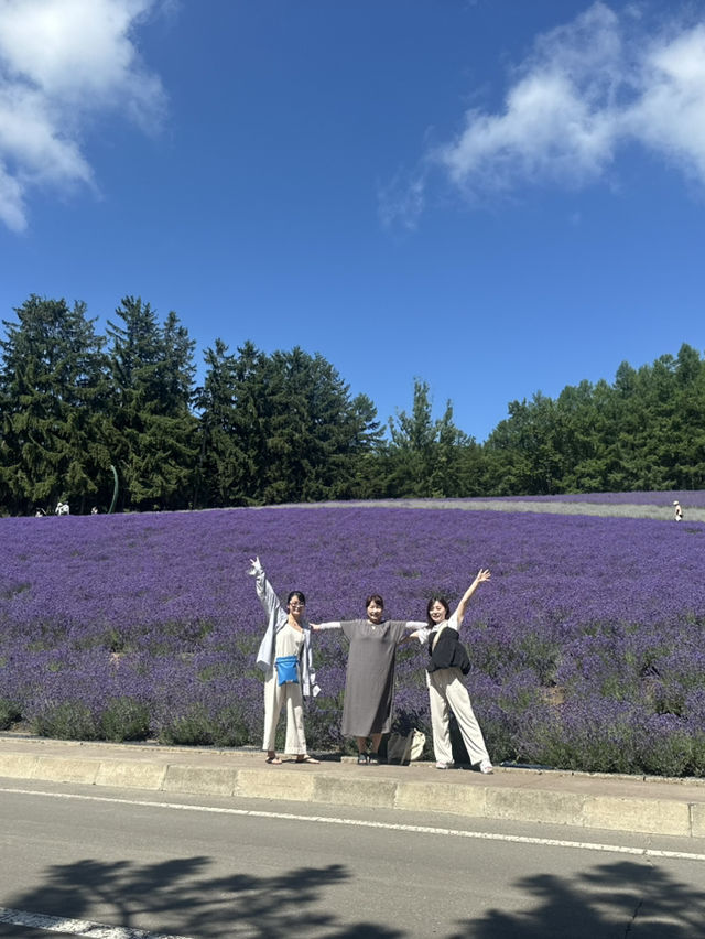 【夏の北海道】ラベンダー畑🪻の絶景スポット