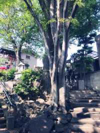 【東京都　北区　芥川龍之介ゆかりの地・田端の坂道と寺社の数々。赤紙仁王尊】