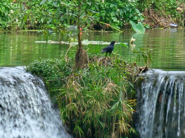 อุทยานแห่งชาติน้ำตกเจ็ดสาวน้อย จ.สระบุรี