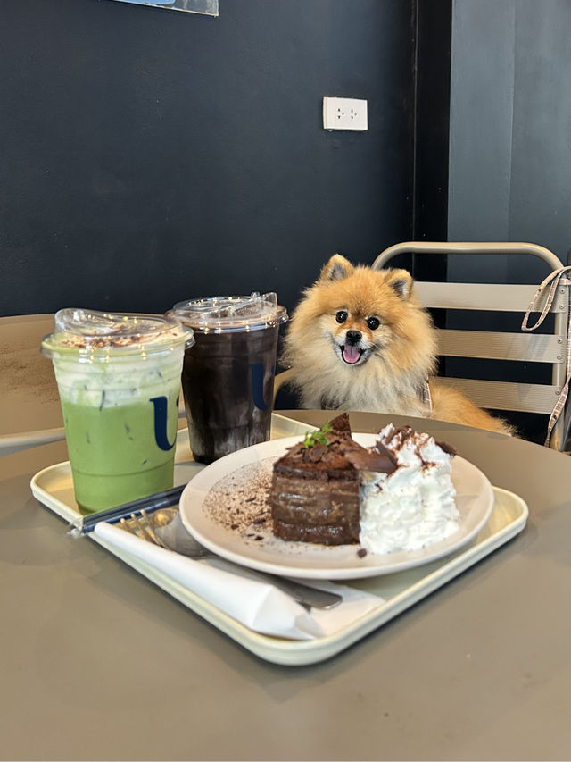 🐶สายคาเฟ่ + เพ็ทเลิฟเวอร์ ต้องไป U Cup Maptaphut☕️