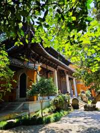 Explore Guoqing Temple on Tiantai Mountain – A Hidden Summer Getaway 🌿☀️