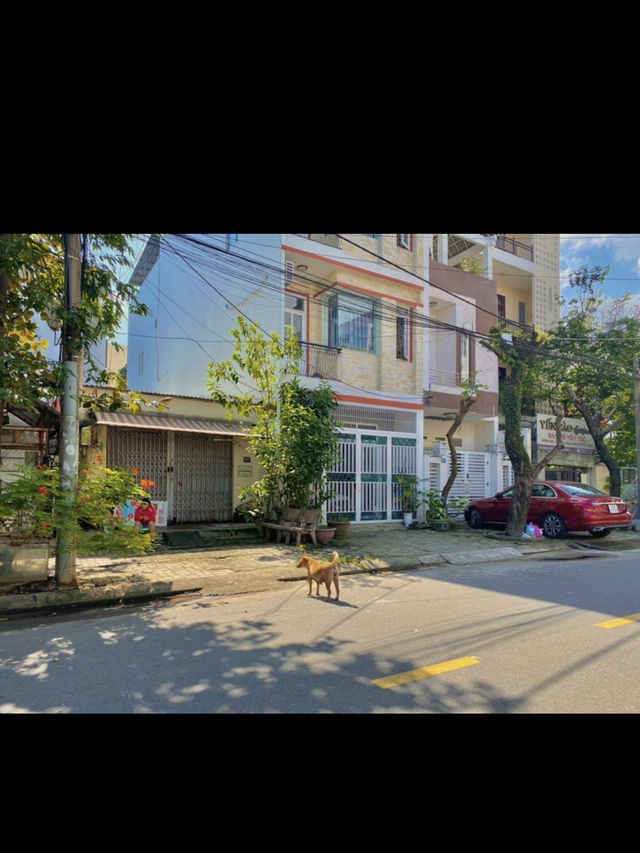 📍 다낭 핑크성당 - 콩카페 - 근처 소품샵 코스