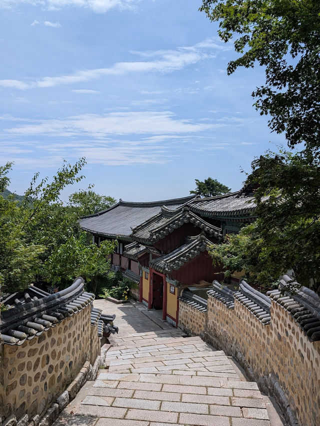 梵魚寺夏日散策｜綠意中的寧靜古剎