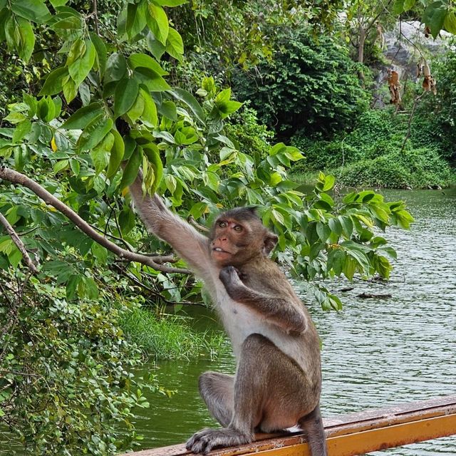 อุทยานหินเขางู จ.ราชบุรี