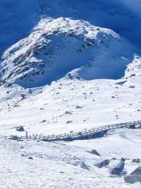 Dagu glacier | ต๋ากู่กราเซียร์ 