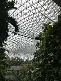 ✅แลนมาร์คสิงคโปร์ Jewel changi airport ✈️